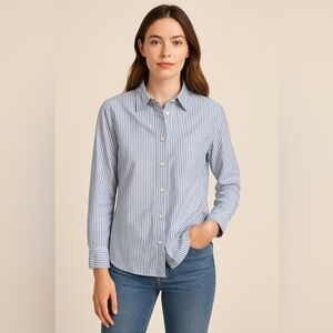 👔 Talbots Classic Cotton Dobby Stripe Shirt – Size Large